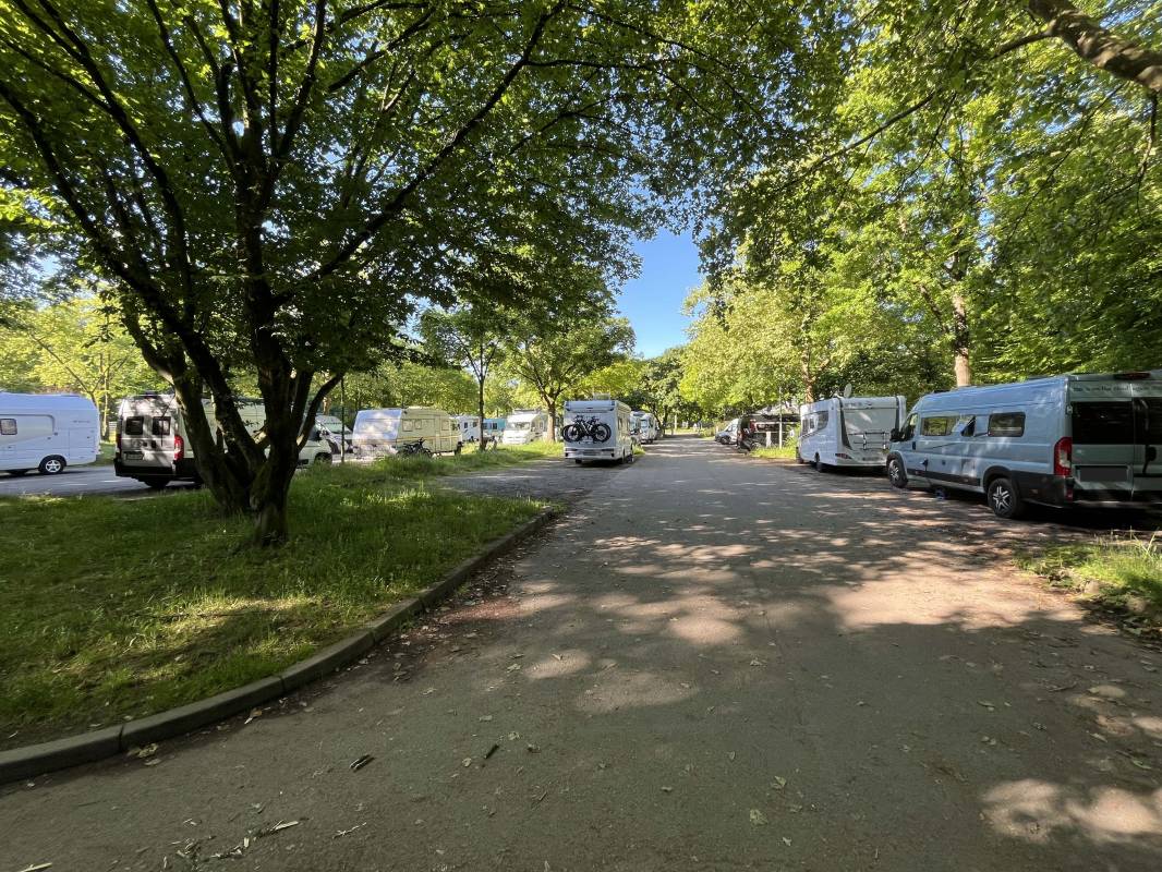 Stellplatz Neckarhalde — Photo 5