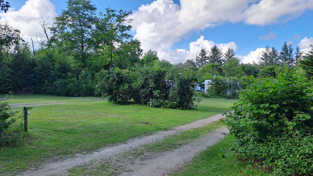 Ringkøbing Camping — Photo 4