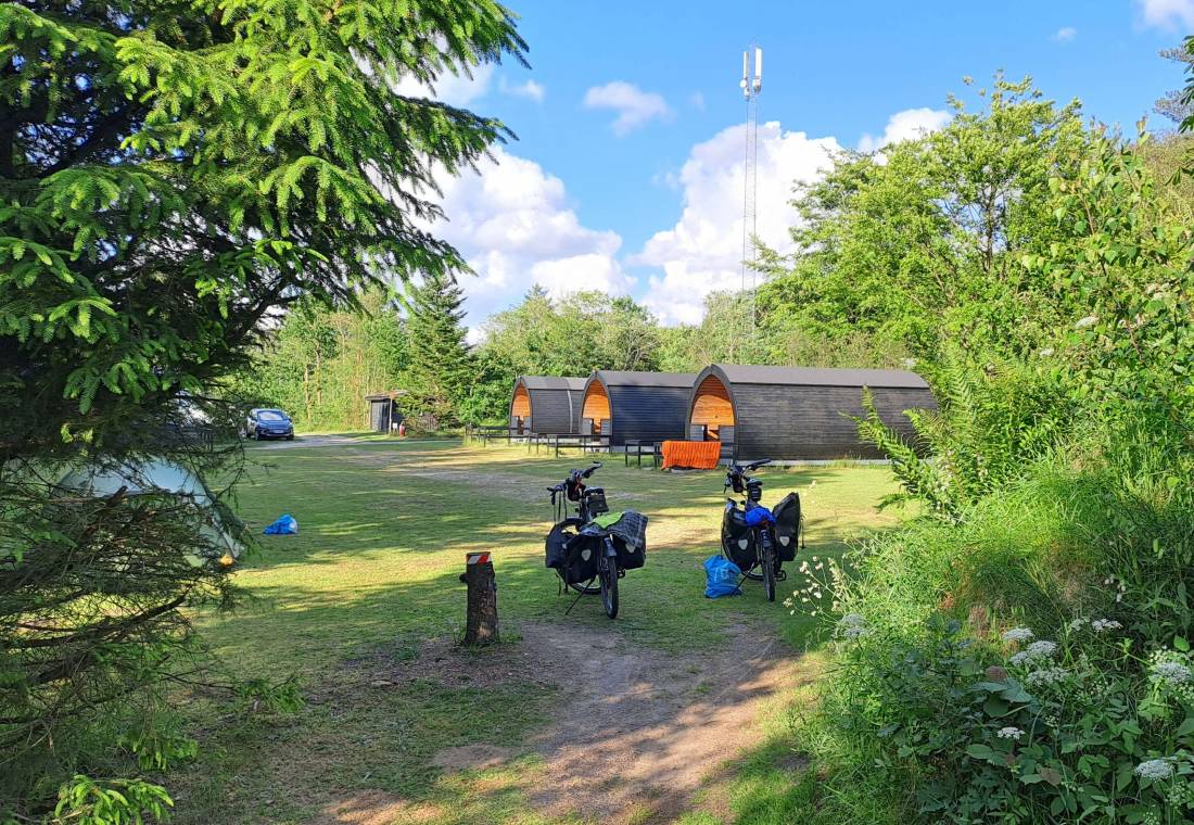 Ringkøbing Camping — Photo 6
