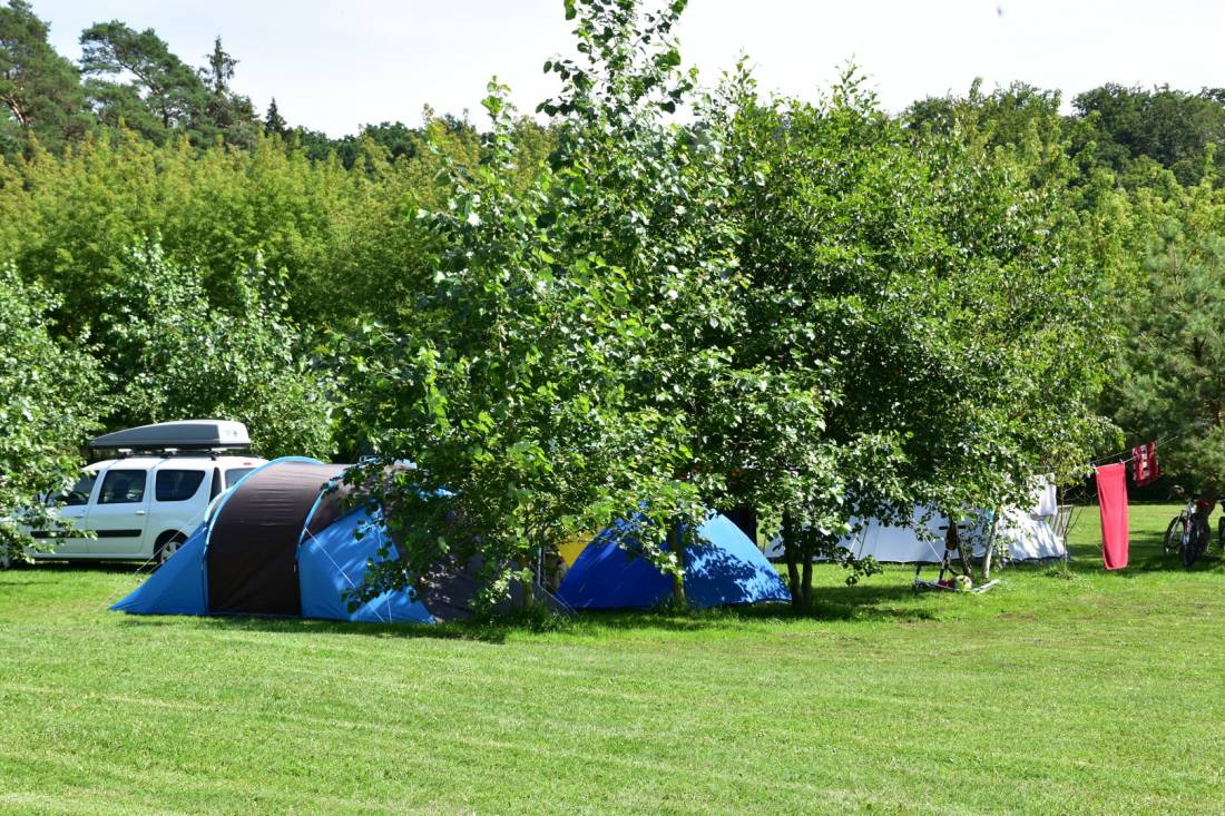 Campingpark Seedorf — Photo 3