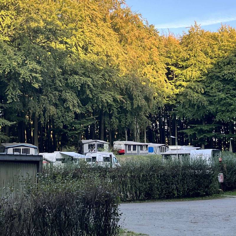 Krüger Naturcamping — Photo 4