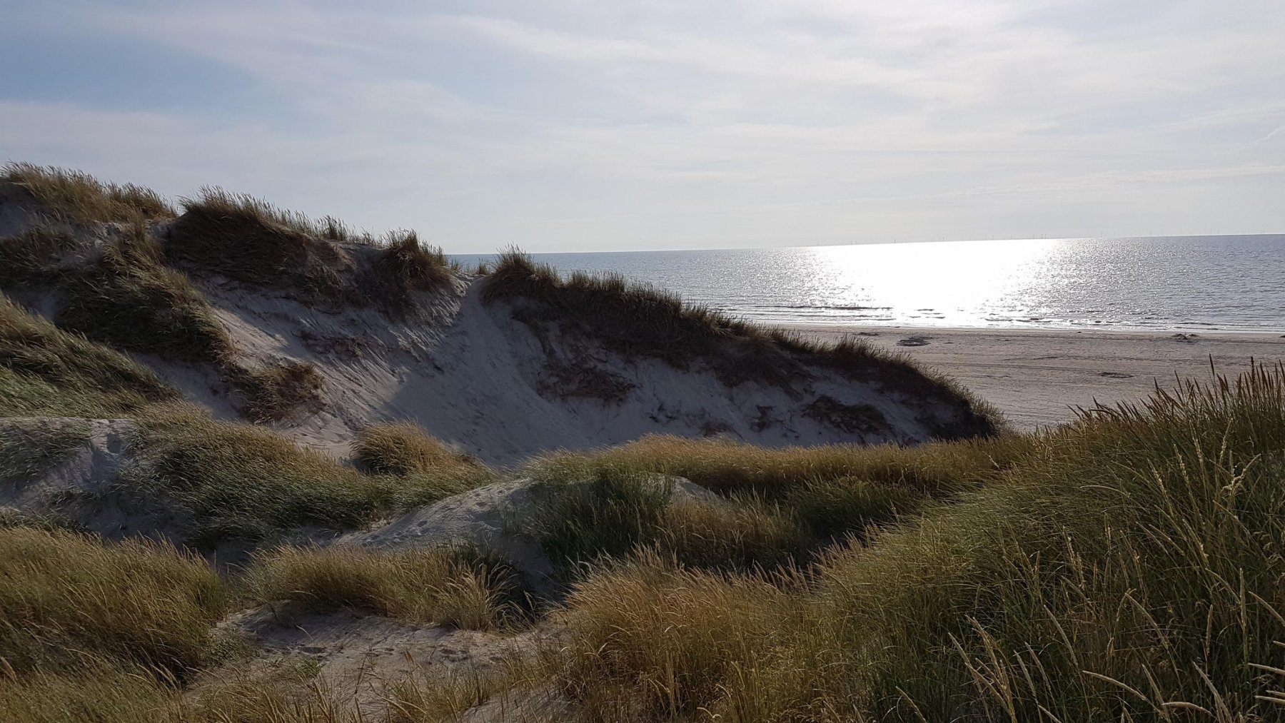 Børsmose Strand Camping — Photo 4