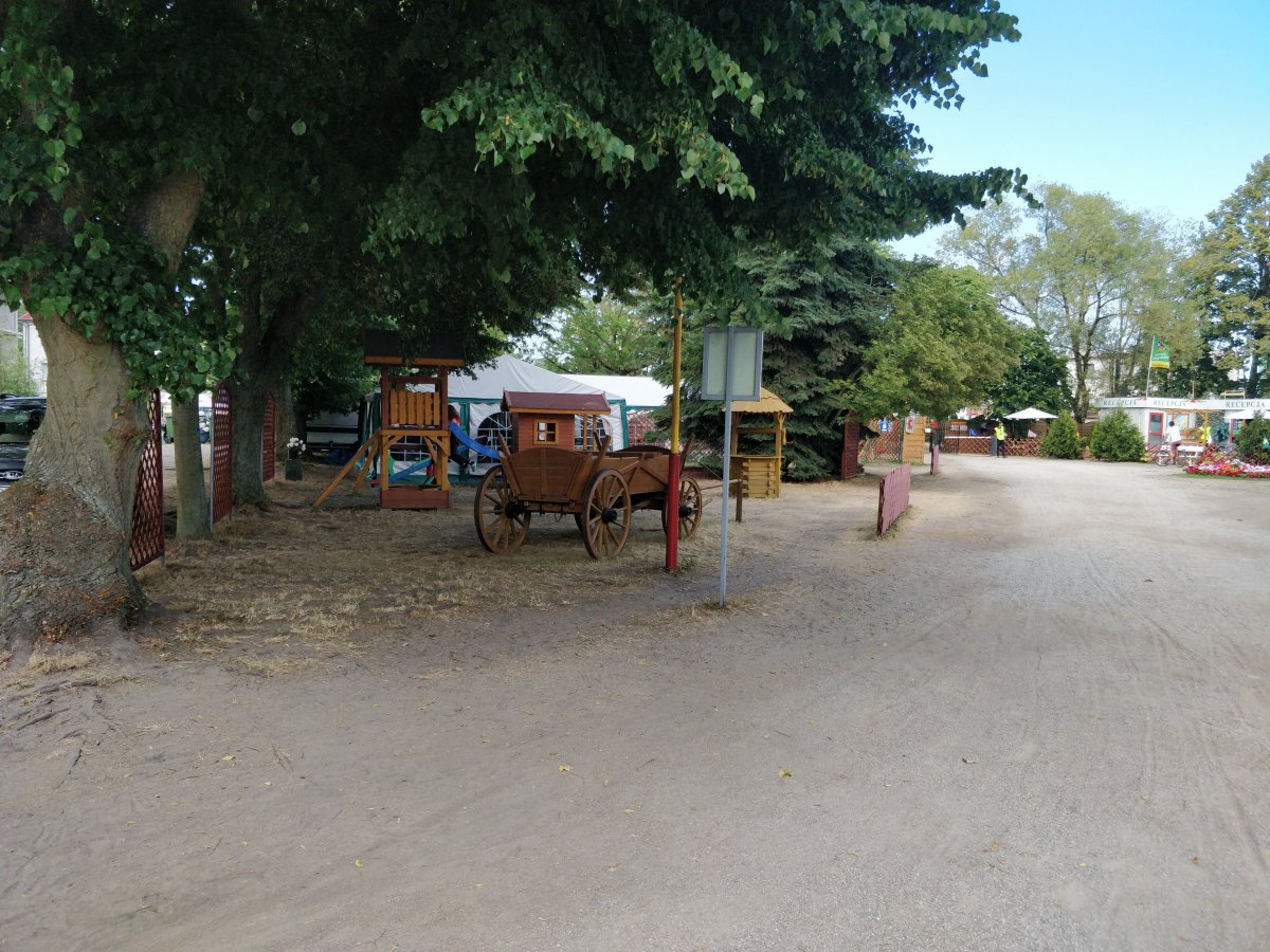 Forest Camp — Photo 2