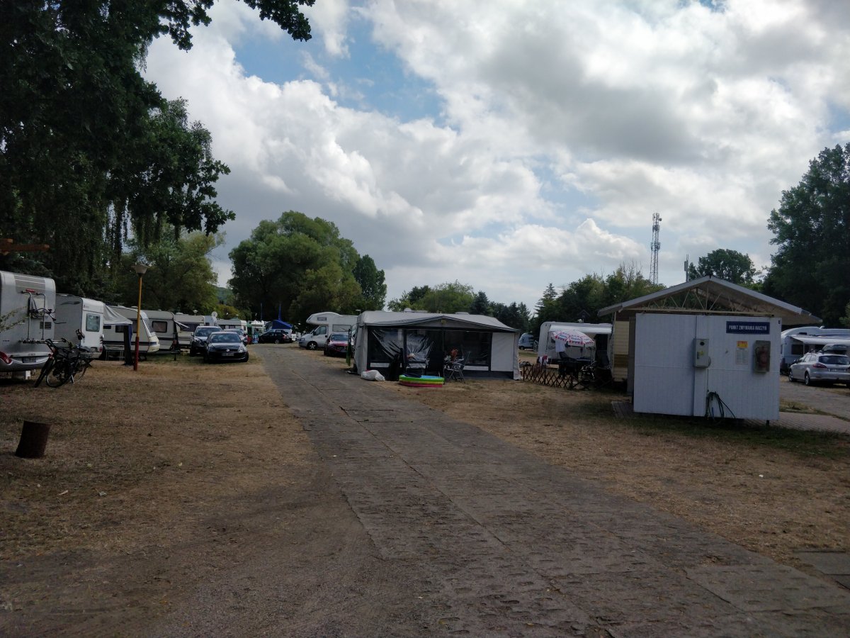 Forest Camp — Photo 3