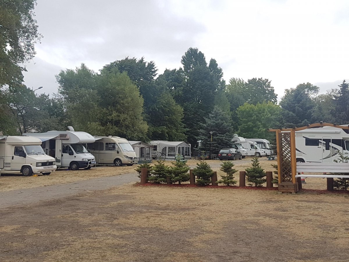 Forest Camp — Photo 4