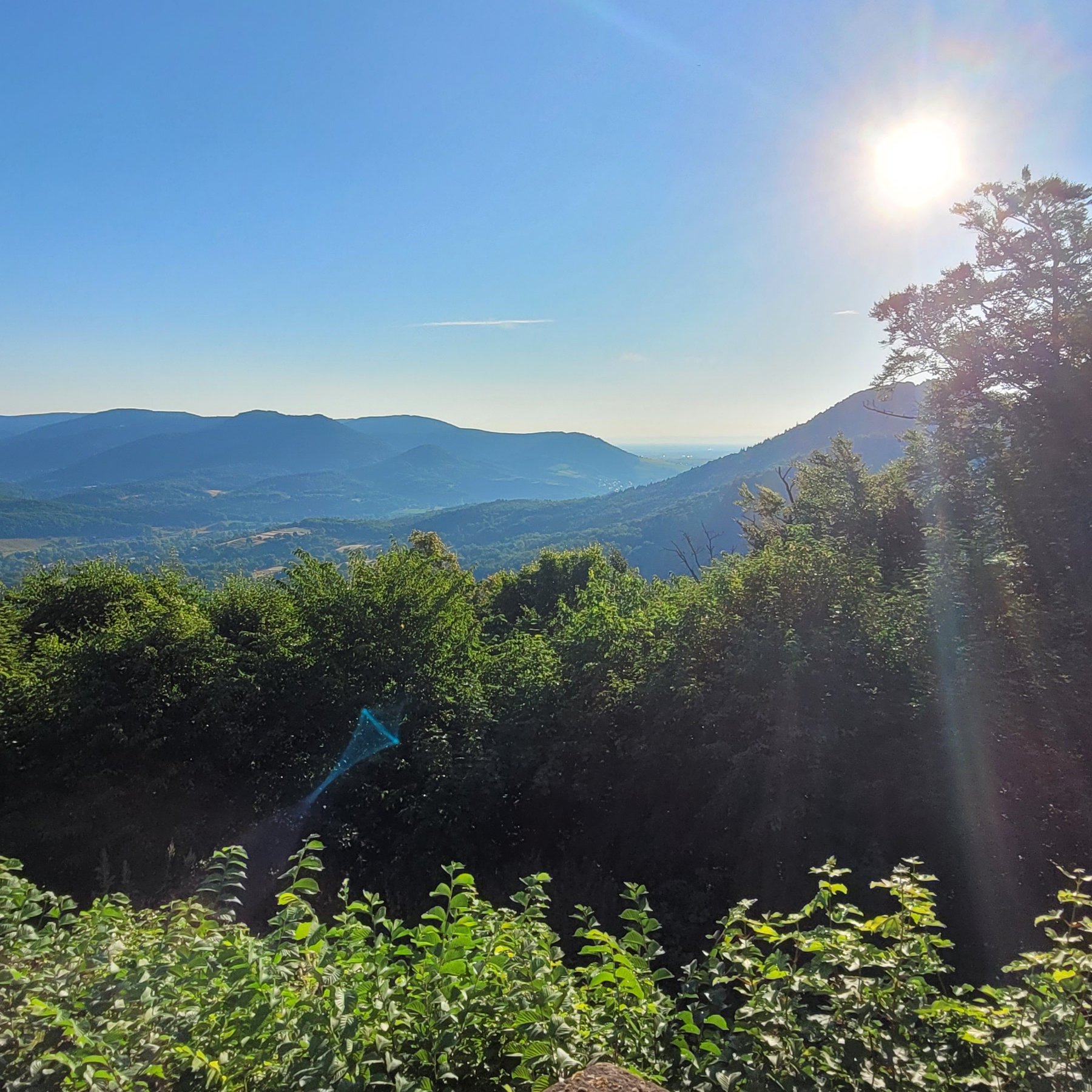 Naturfreunde Annweiler — Photo 6