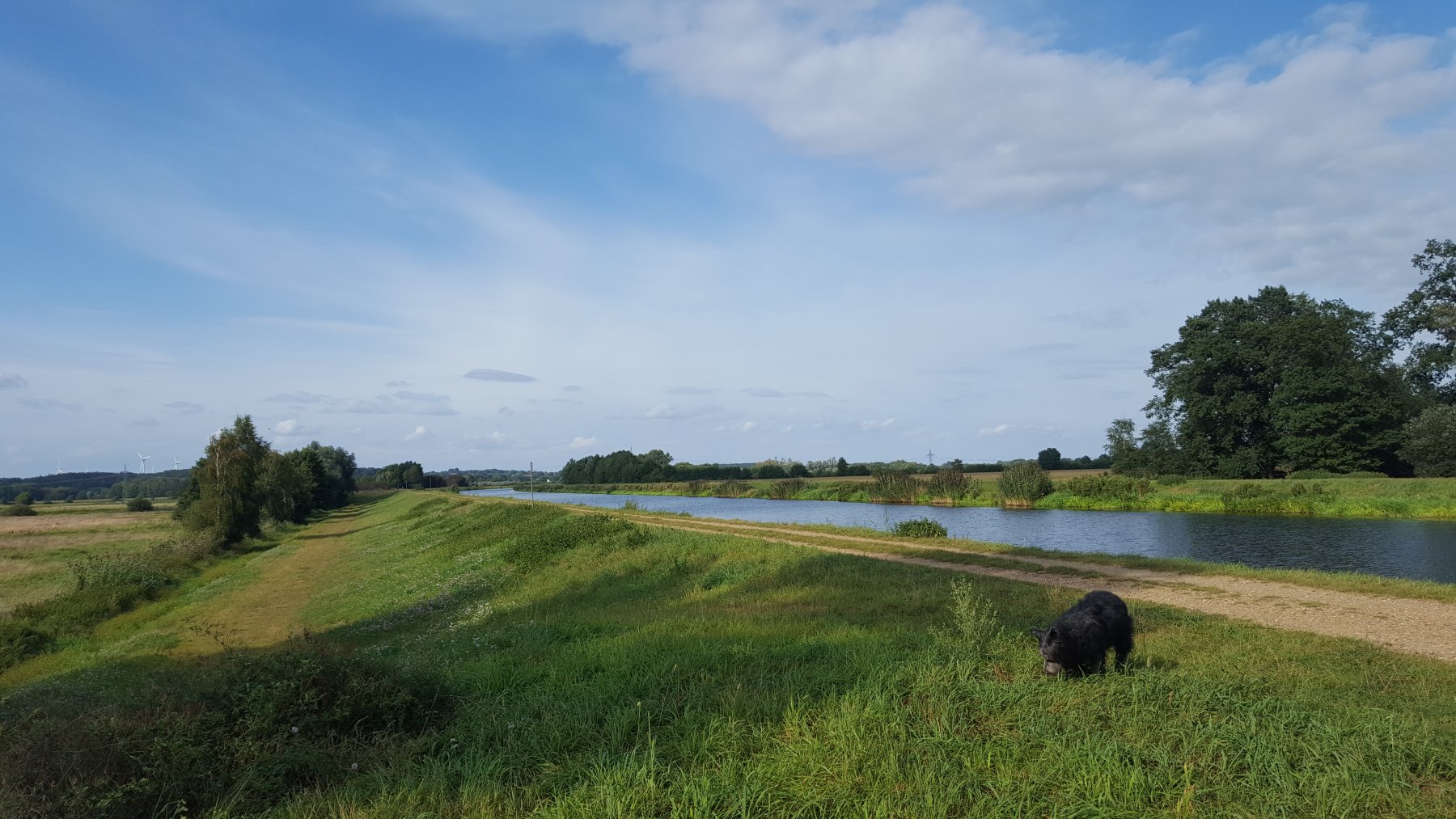 (gechlossen) Direkt am Elbe- Lübeck-Kanal — Photo 3
