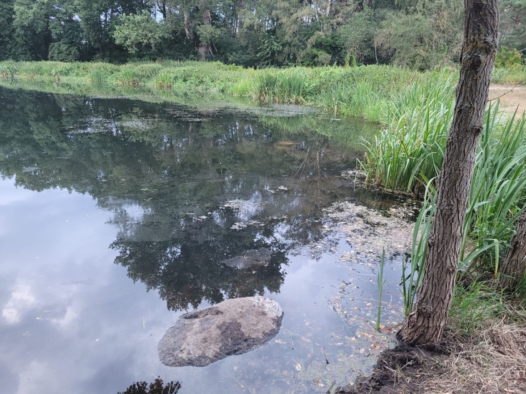 Camping Aller-Leine-Tal — Photo 3