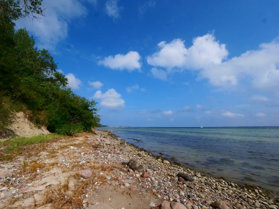 Wohlenberger Wiek — Photo 3