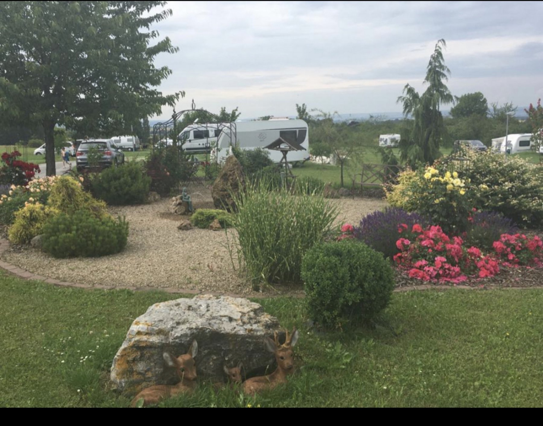 Campingplatz am Tor zum Hainich — Photo 3