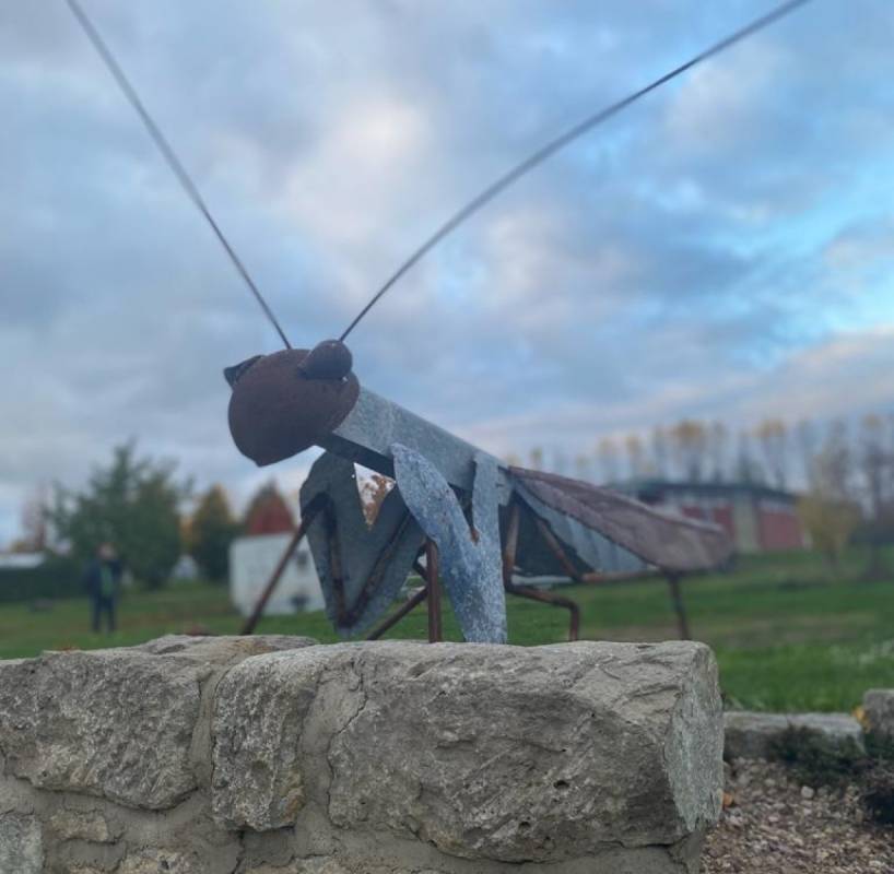 Campingplatz am Tor zum Hainich — Photo 4