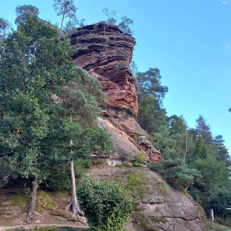 Campingplatz Büttelwoog — Photo 5