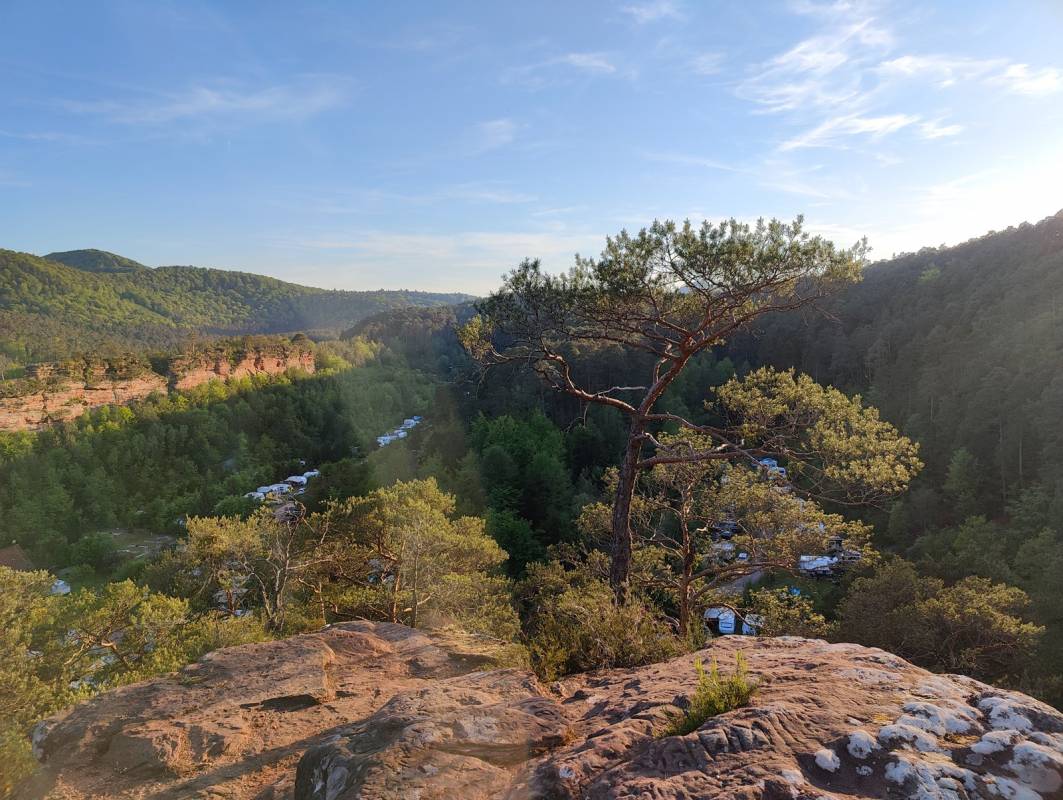 Campingplatz Büttelwoog