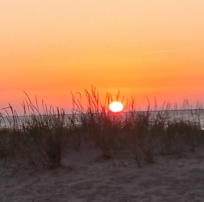 Wohnmobilstellplatz Hörnum Sylt — Photo 3