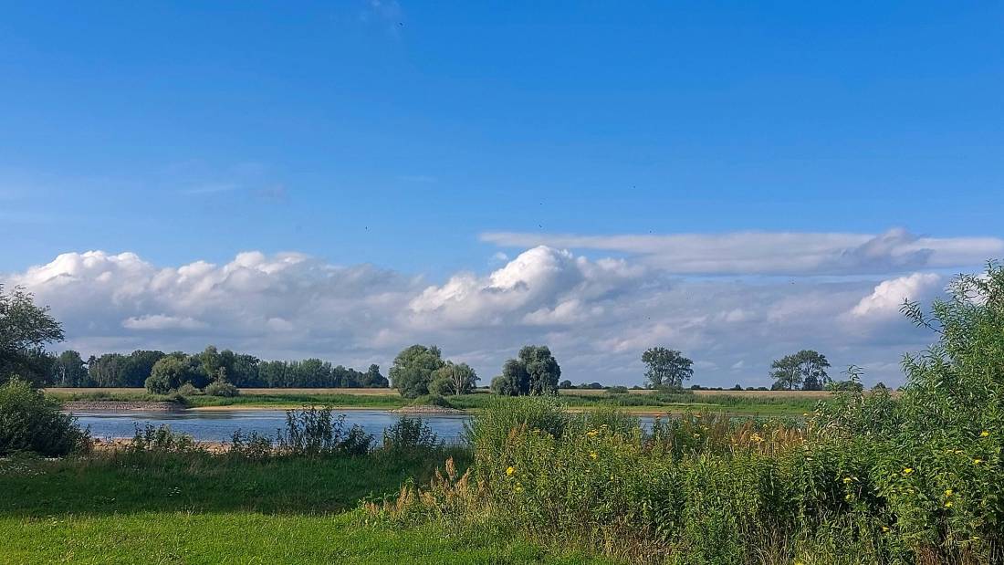 Campingplatz Elbufer — Photo 3