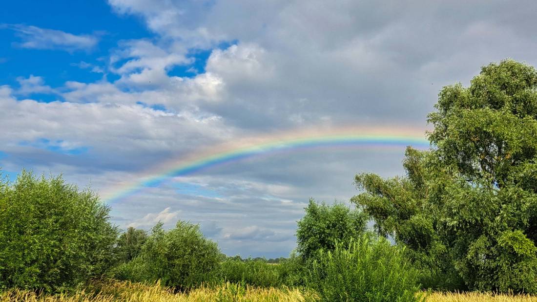 Campingplatz Elbufer — Photo 4