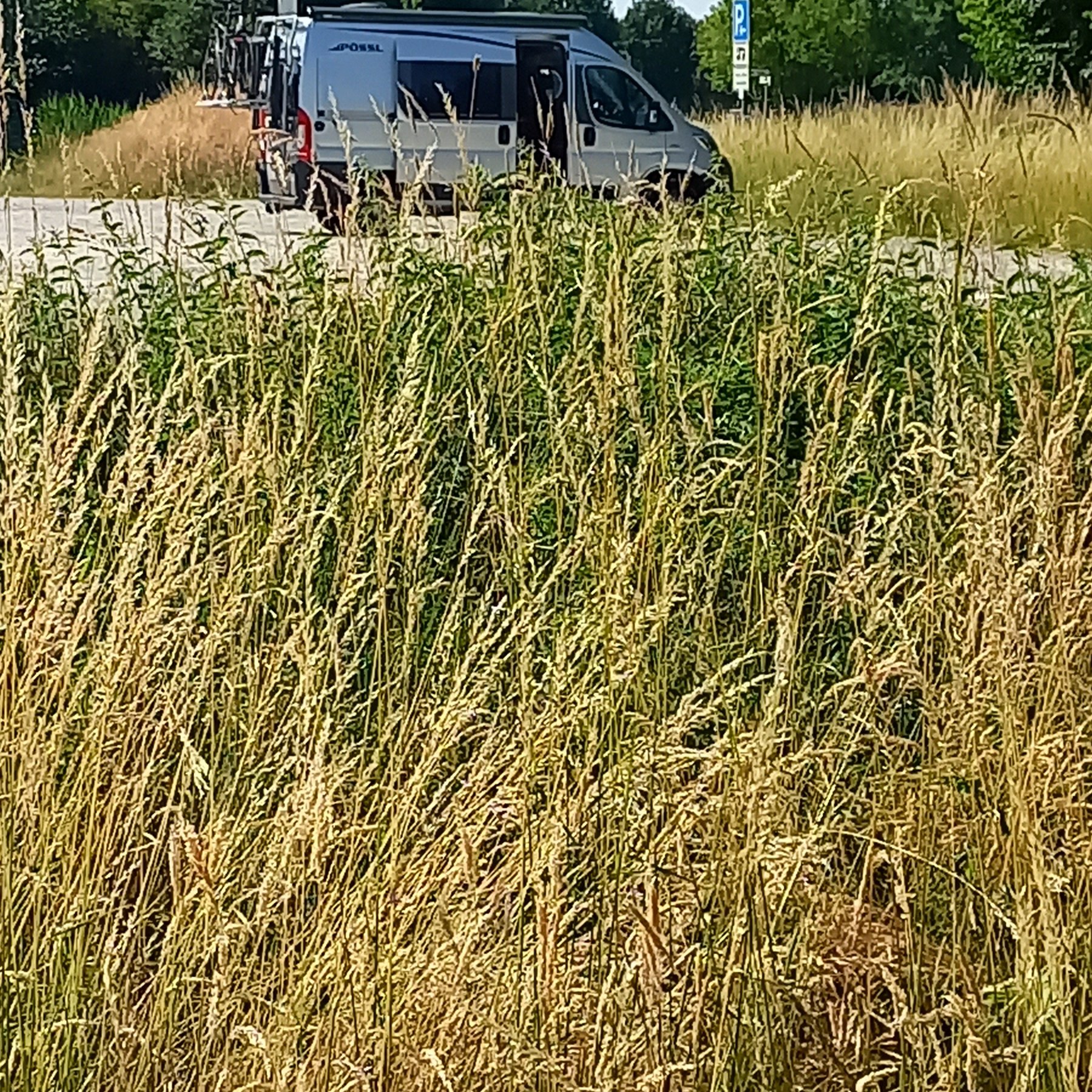 Stellplatz Rottwiese Rietberg — Photo 4