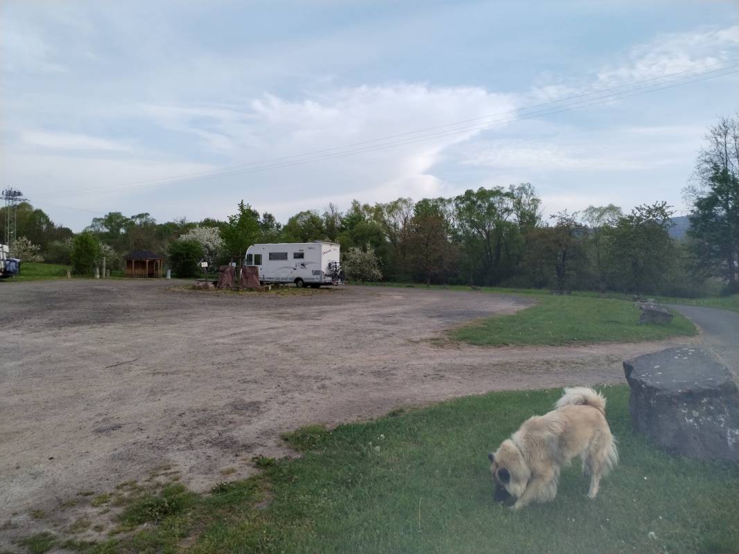 Stellplatz Braach — Photo 4