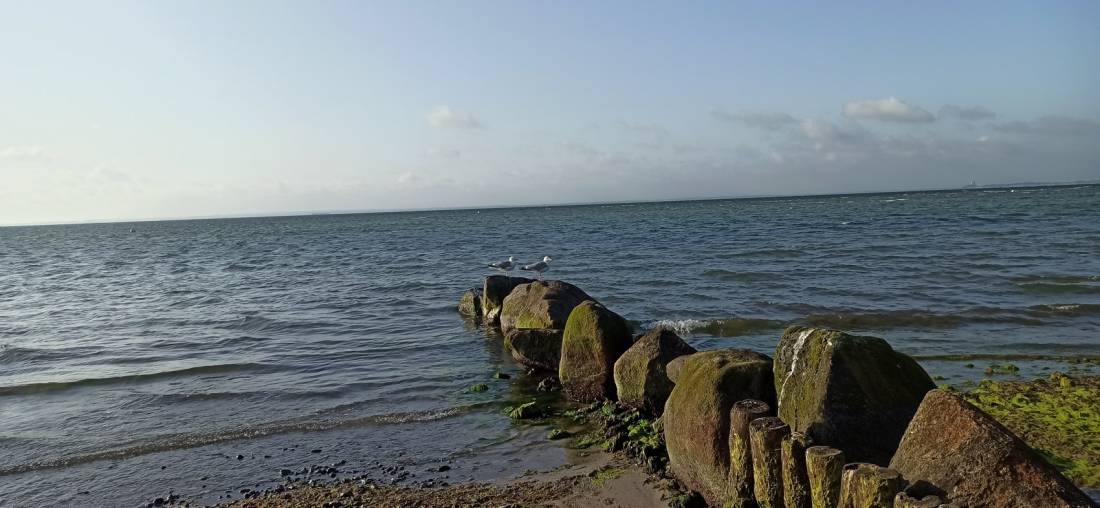 Campingplatz An der Düne — Photo 3