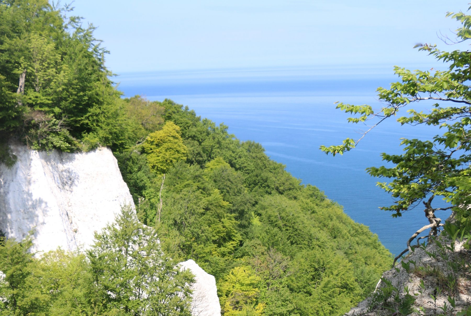 Landhaus Wilkens — Photo 2