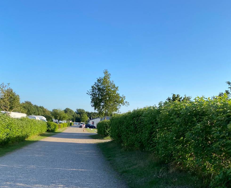 Camping Mitte — Photo 3