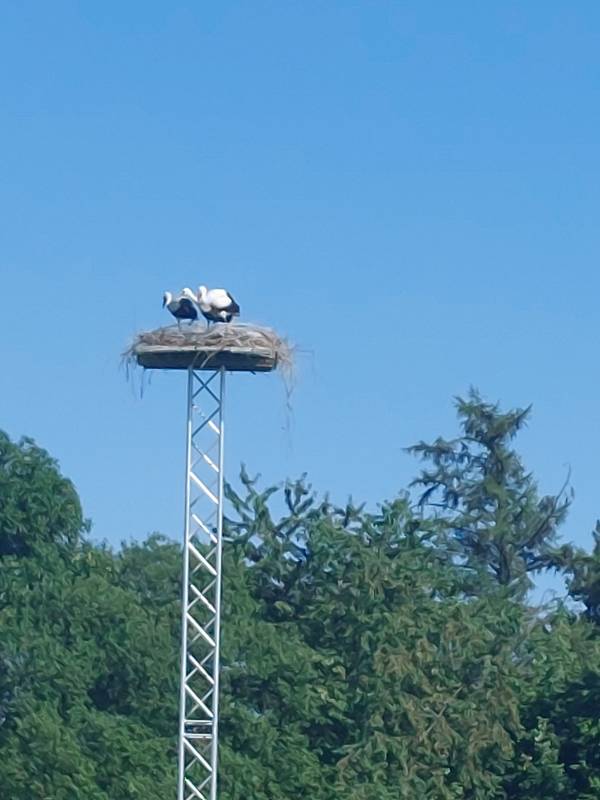 Ferienhof Fröhling — Photo 5