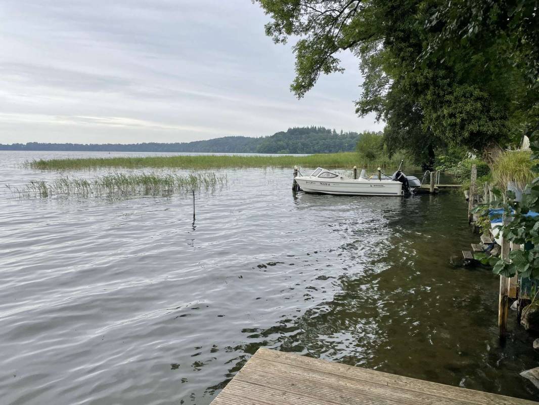 Süduferperle — Photo 4