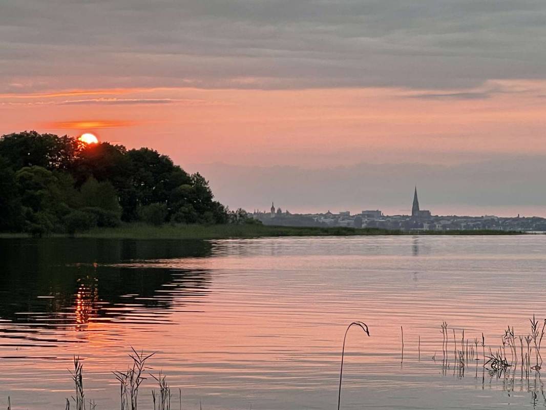 Süduferperle — Photo 6