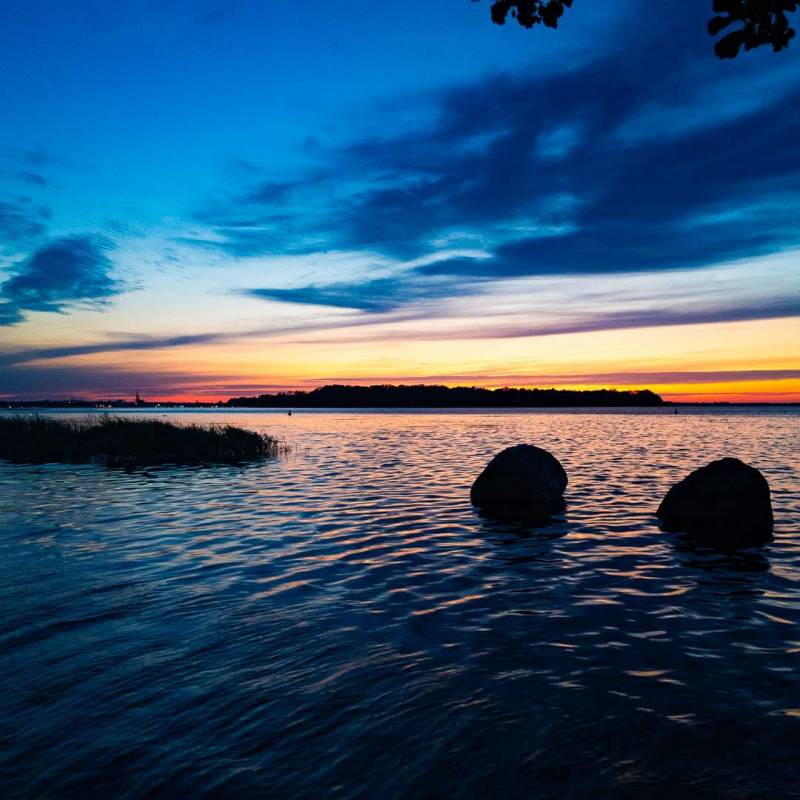 Süduferperle — Photo 3