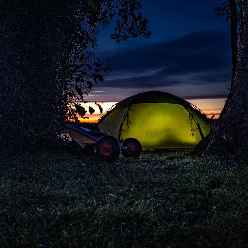 Süduferperle — Photo 2