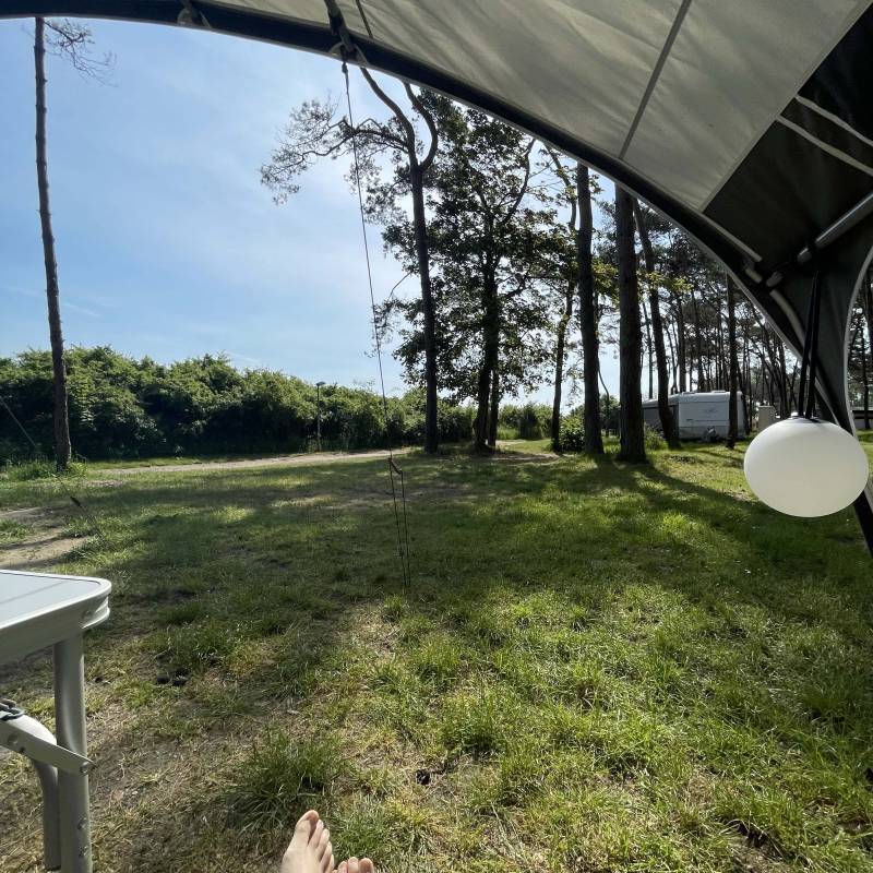 Wildwood Camping Rügen — Photo 3