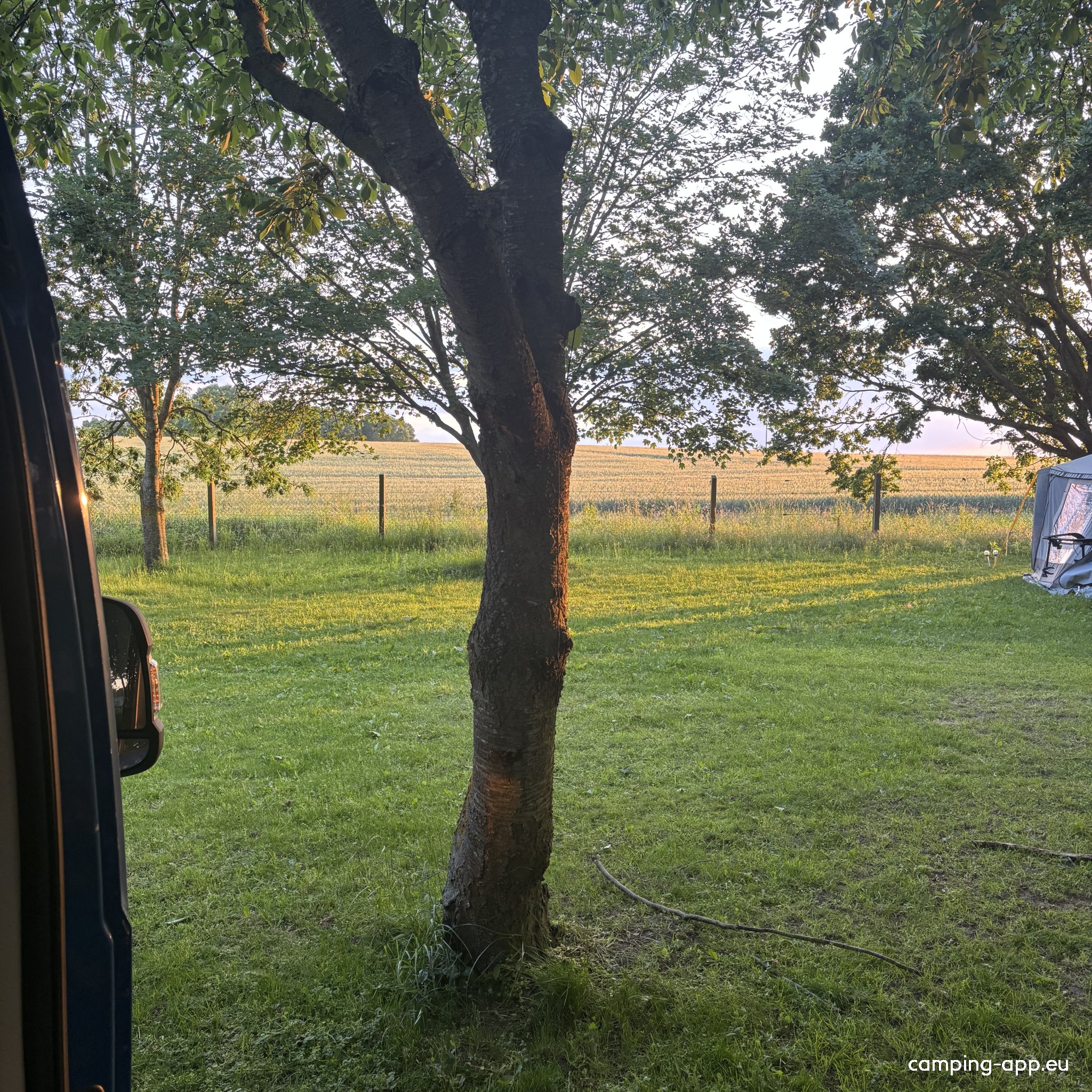 Wildwood Camping Rügen — Photo 5