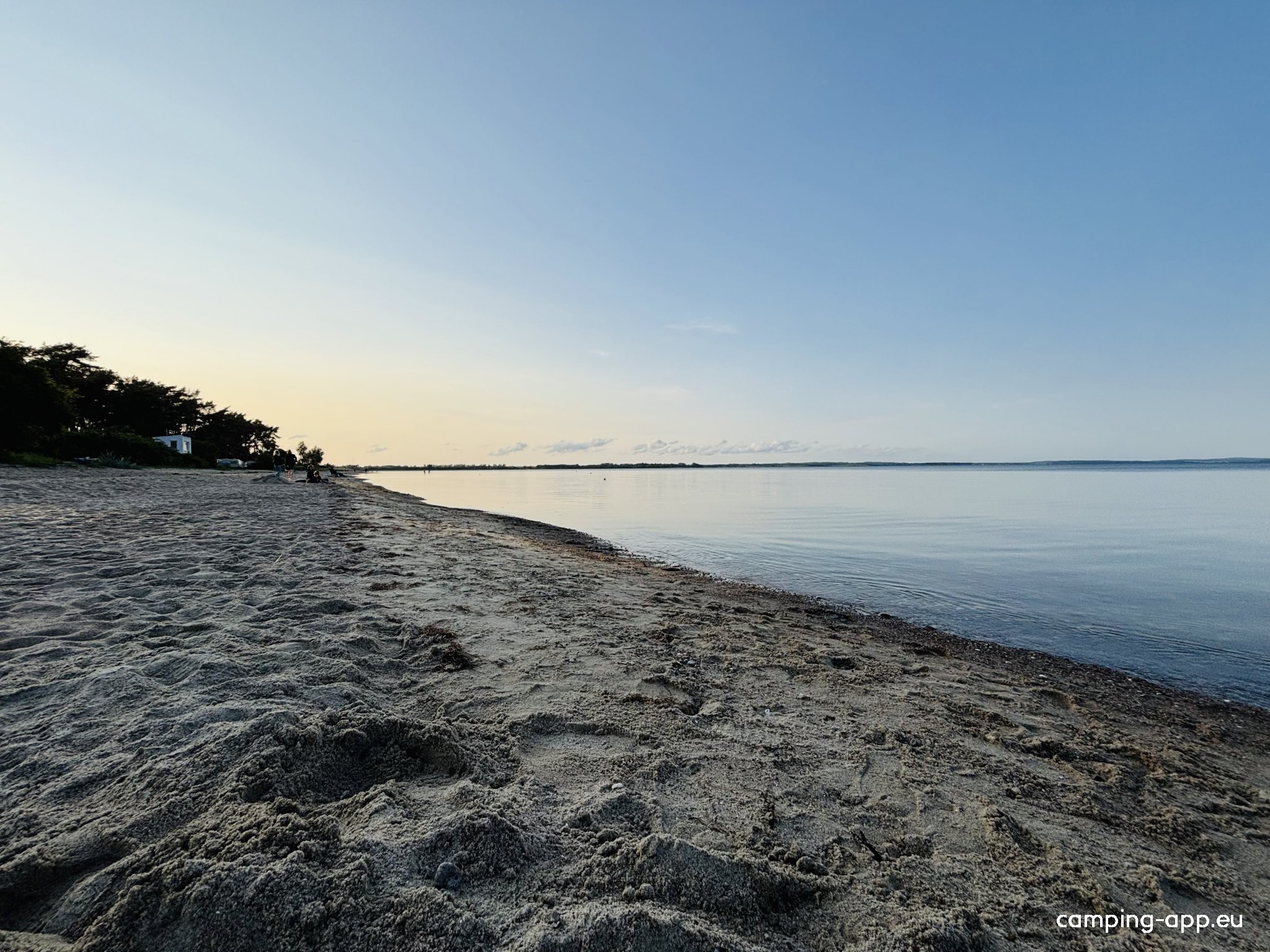 Wildwood Camping Rügen — Photo 4