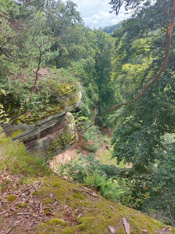 Stellplatz Sportzentrum — Photo 3