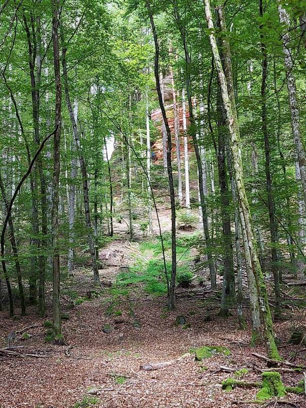 Stellplatz Sportzentrum