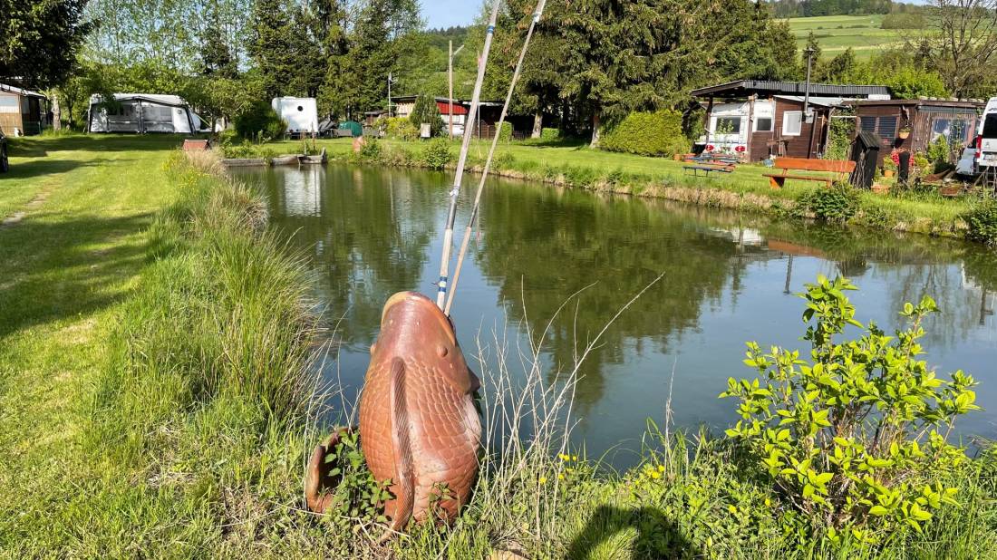 Camping Sinntal-Oberzell — Photo 3