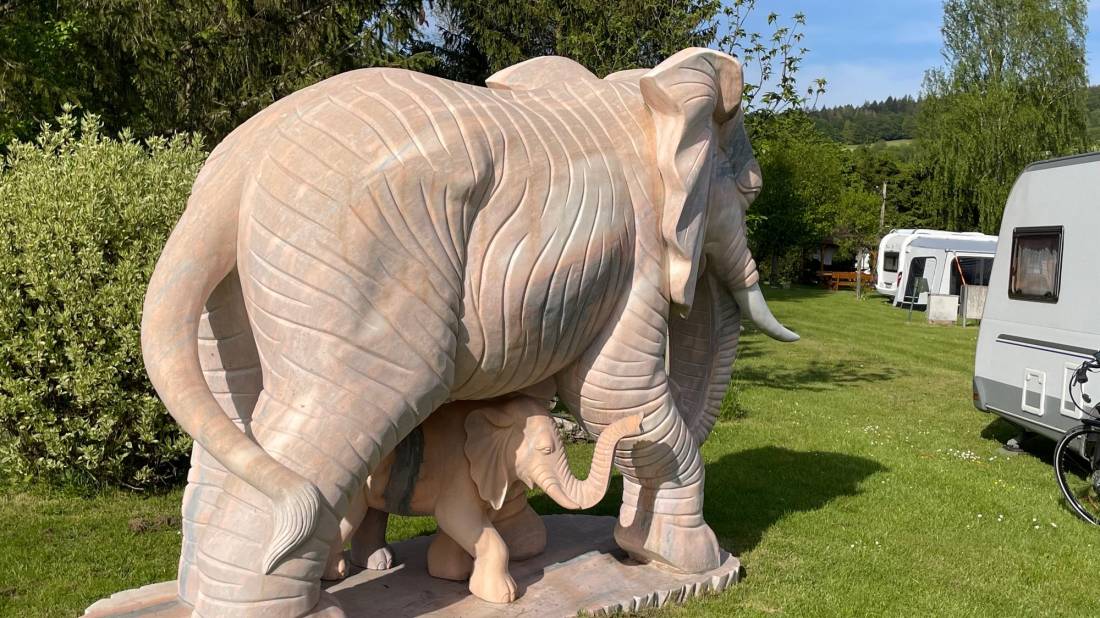 Camping Sinntal-Oberzell — Photo 4