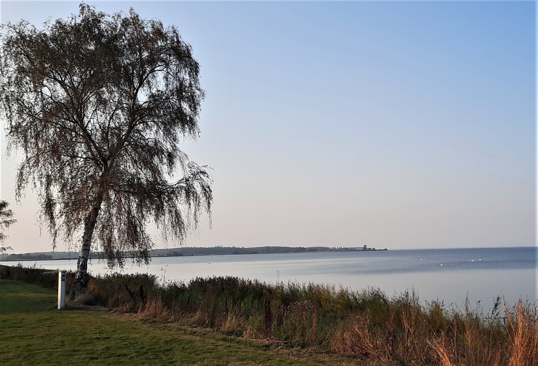 Bandholm Strand Wohnmobilstellplatz — Photo 4