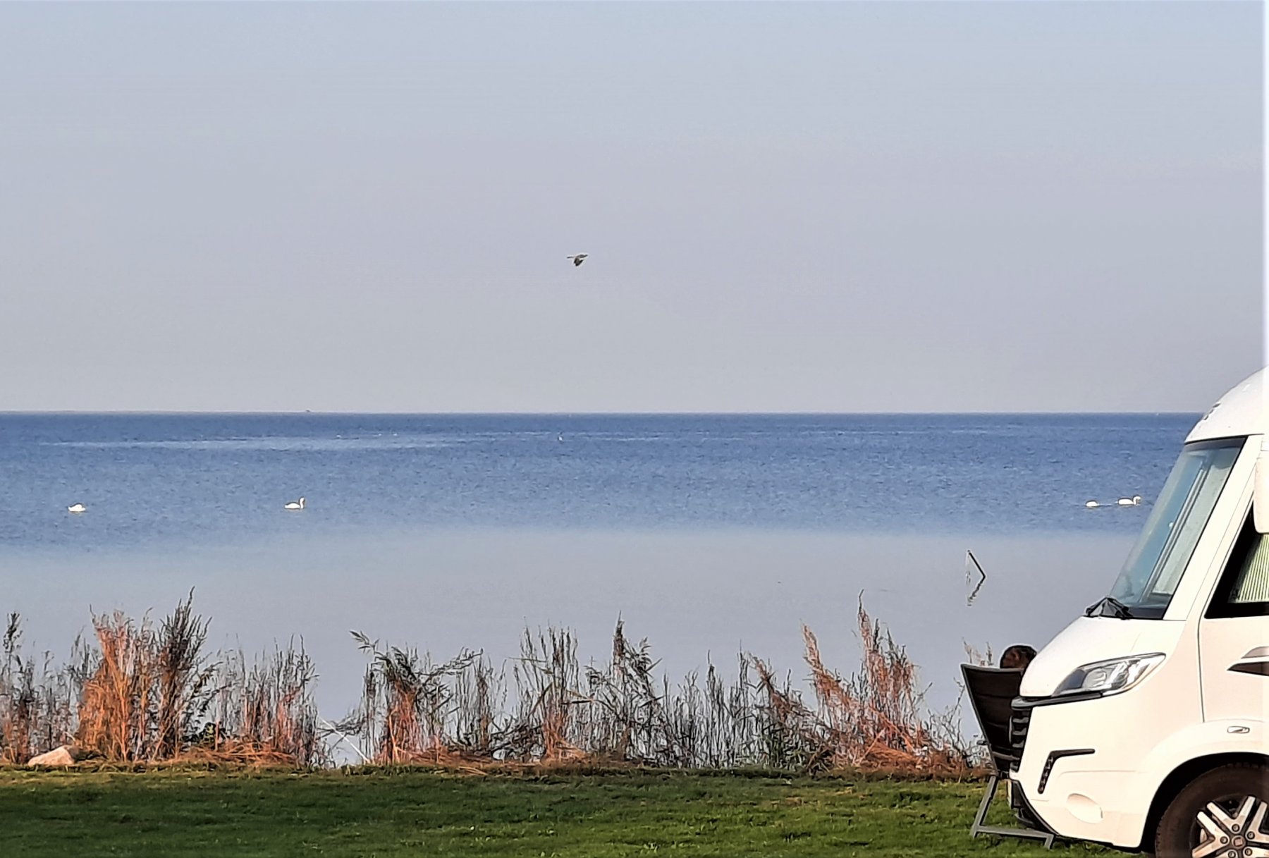 Bandholm Strand Wohnmobilstellplatz — Photo 5