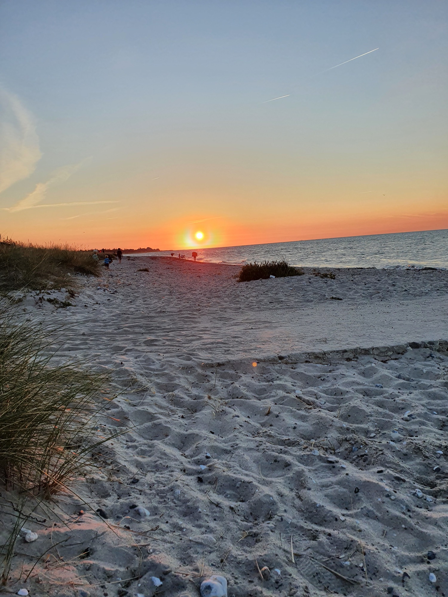 Campingplatz Am Niobe — Photo 5