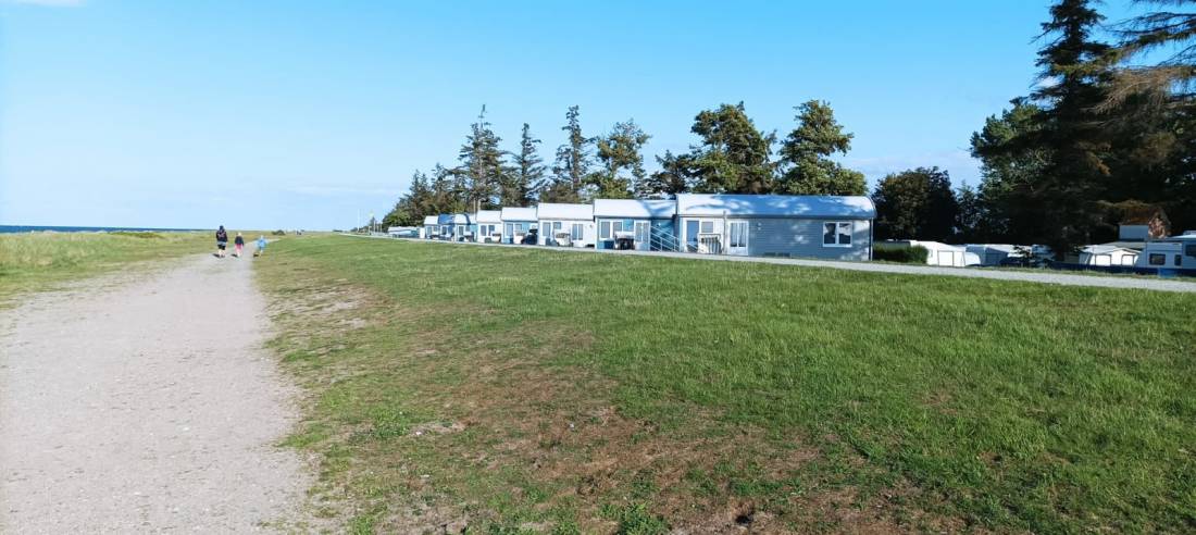 Campingplatz Am Niobe — Photo 6