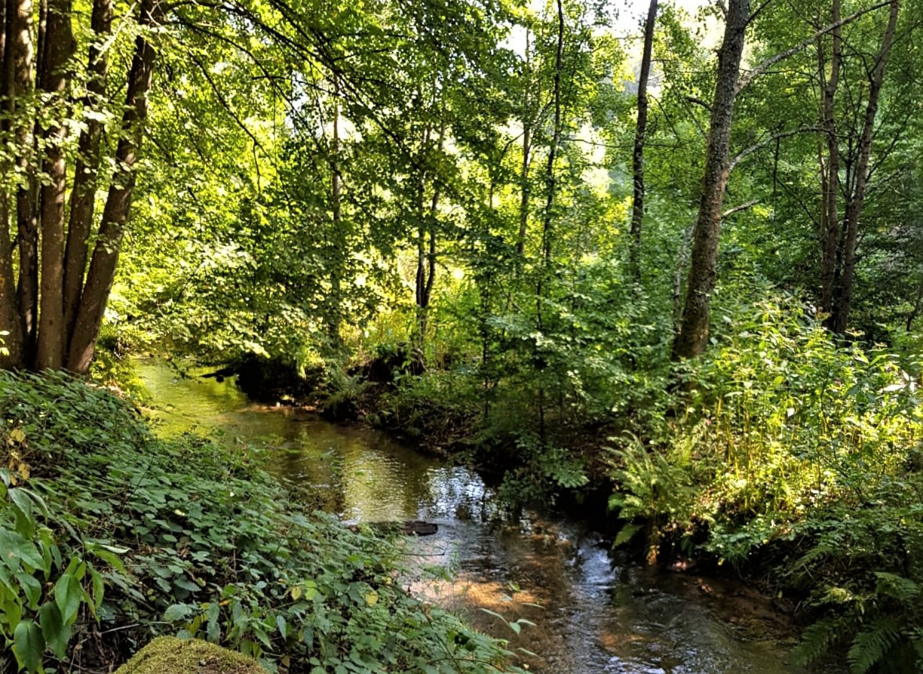 Camping Sägmühle — Photo 2