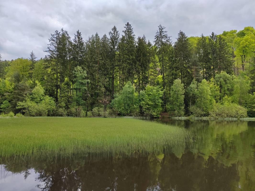 Camping Sägmühle — Photo 4