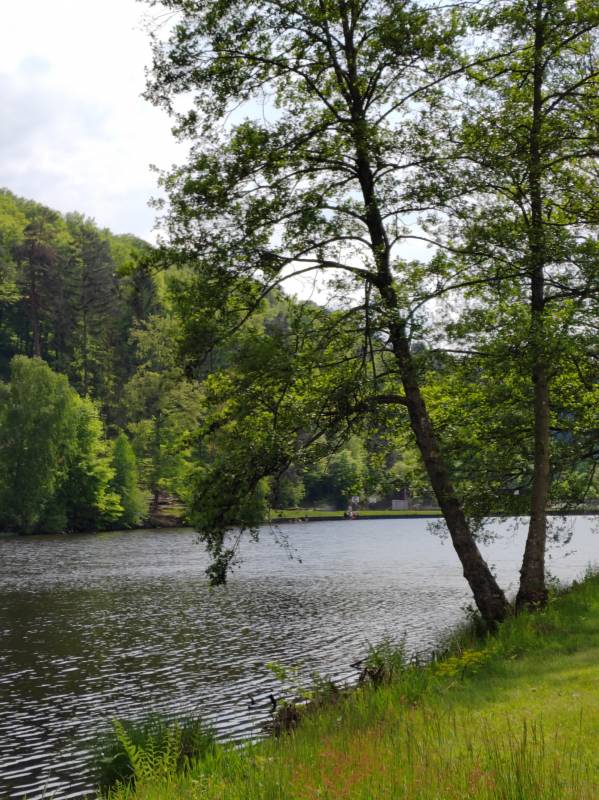 Camping Sägmühle — Photo 6