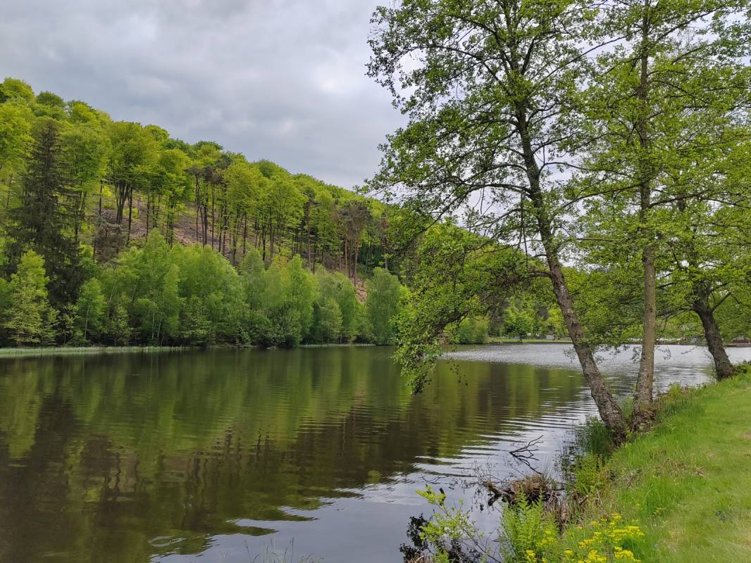 Camping Sägmühle — Photo 5