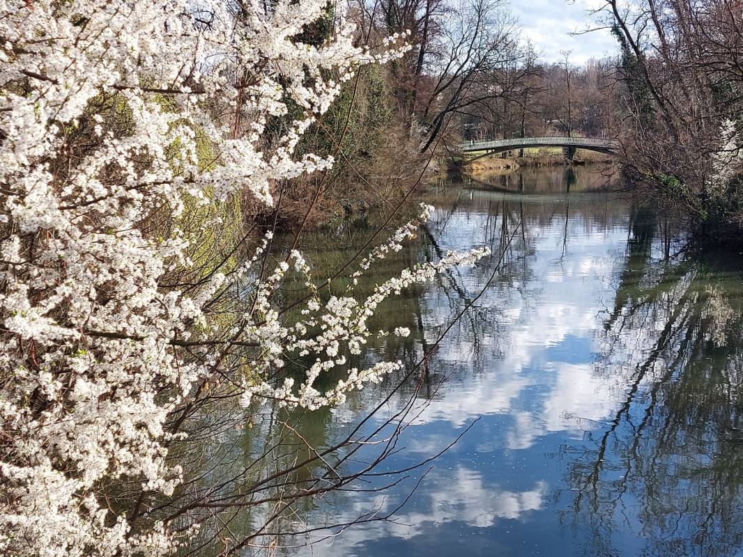 Wohnmobilstellplatz am Hallenbad — Photo 2