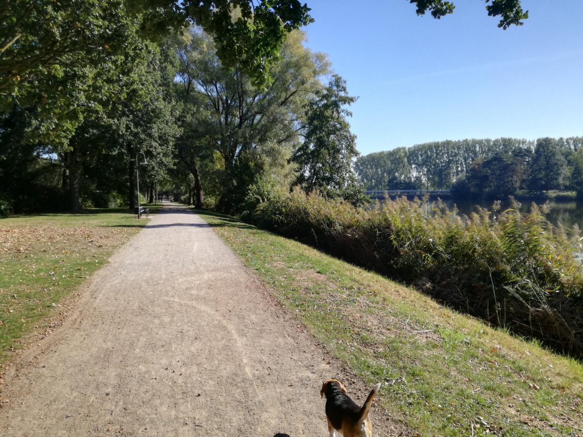 Stellplatz am Emssee Warendorf — Photo 3