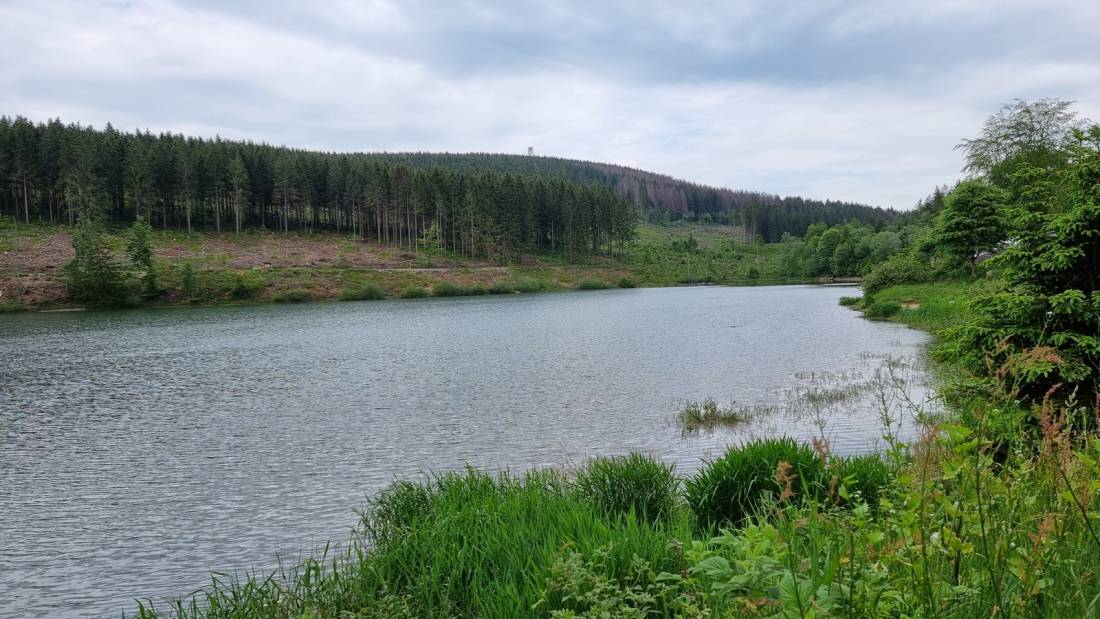 Das Kreuzeck — Photo 6