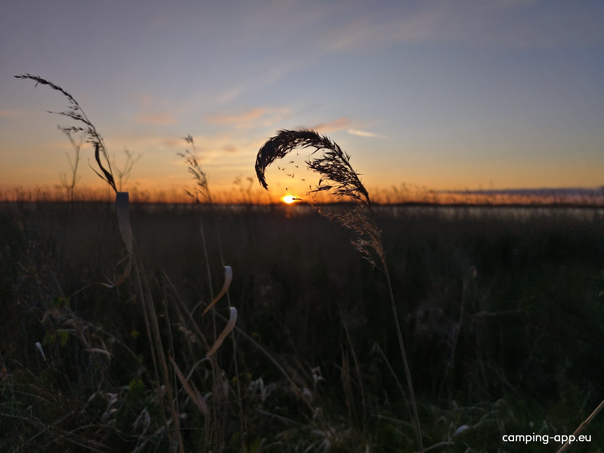 Naturcamping Hafen Stagnieß — Photo 4