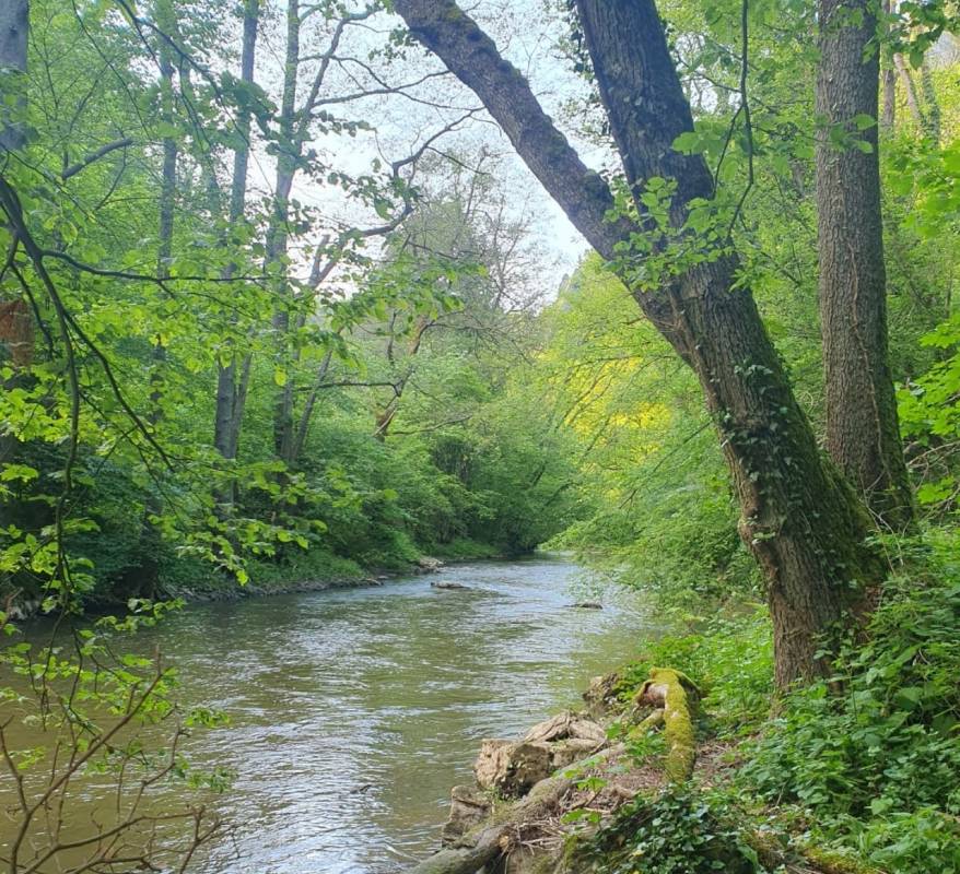 Haumühle Camping — Photo 4